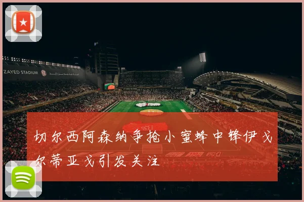 切尔西阿森纳争抢小蜜蜂中锋伊戈尔蒂亚戈引发关注